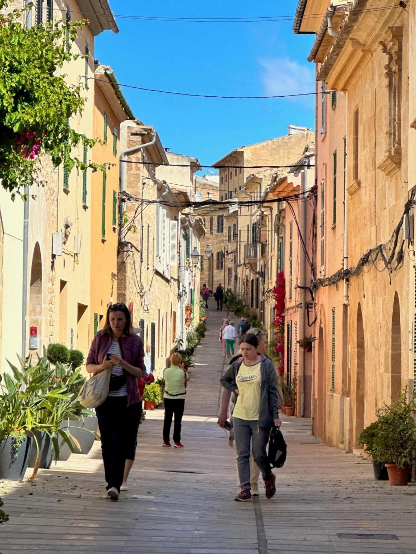 Tanquetes De Xanet By Vintage Travel Alcúdia